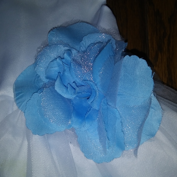 Formal Infant Spring Dress - Picture 5 of 11